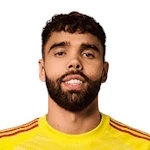 大衛(wèi)·拉亞