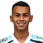 費(fèi)爾南多·恩里克