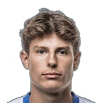 馬格努斯·維特費爾特·安德森